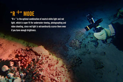 Fenix SD11 Diving Flashlight